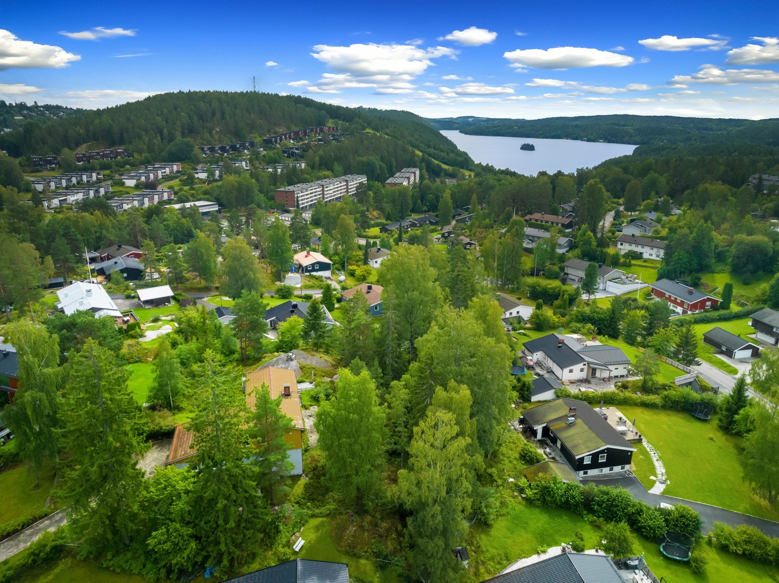 "Lonely" har beholdt mer vegetasjon enn andre, her mot Gjersjøen Galleribilde