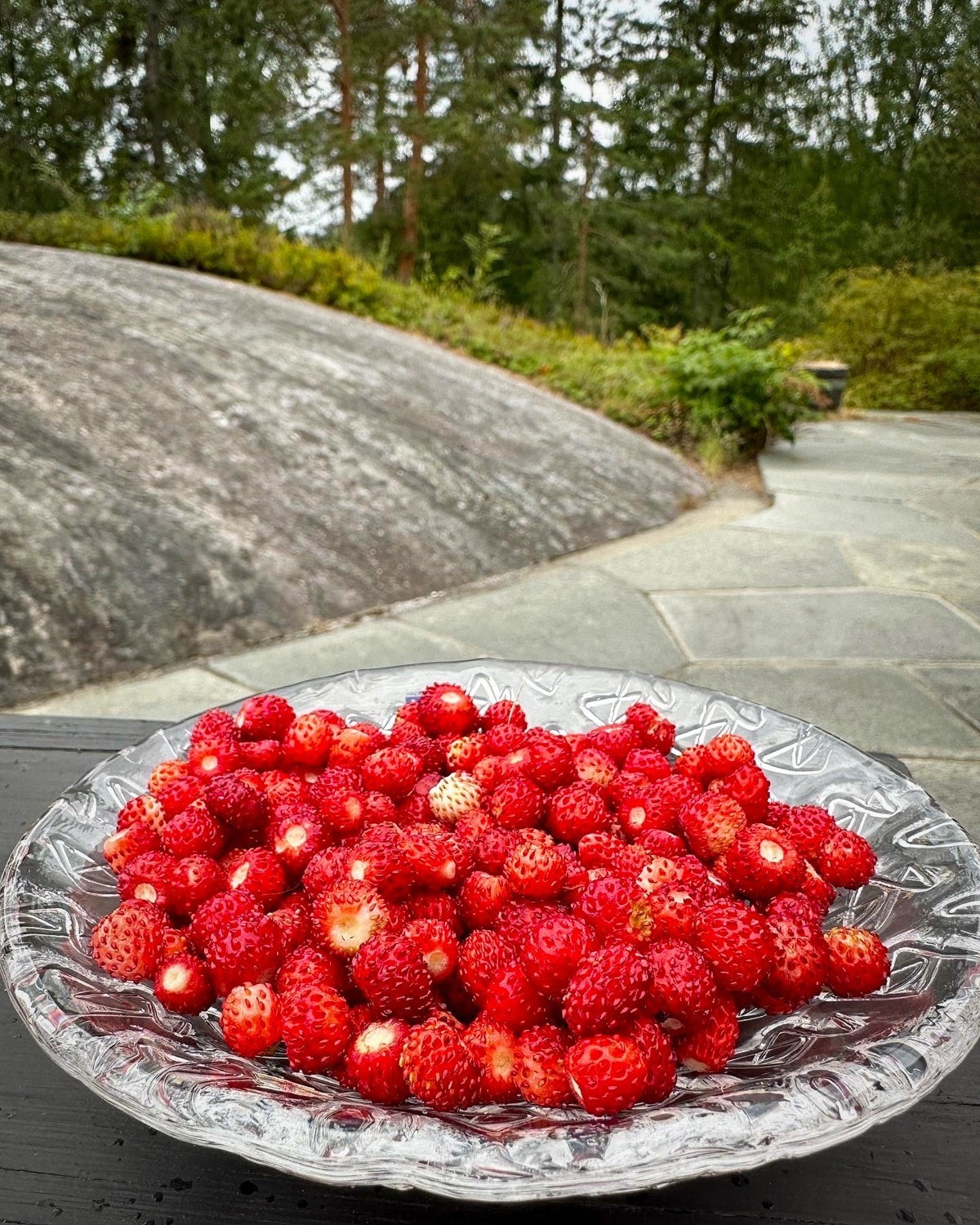 Markjordbær egen hage (selgers foto) Galleribilde