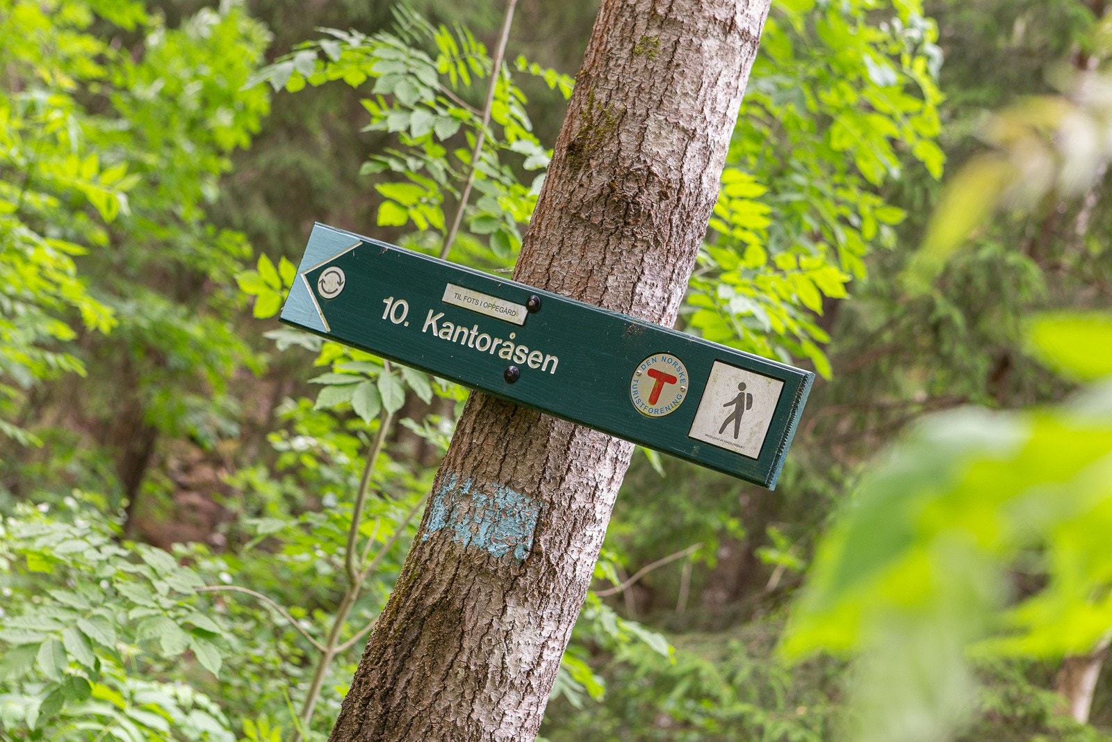 Kantoråsen mellom Gjersjøen og Kolbotntjernet, på toppen av Ingierkollen Slalåmsenter Galleribilde