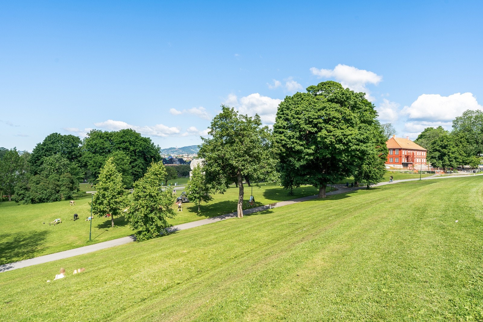 Tøyenparken. Galleribilde