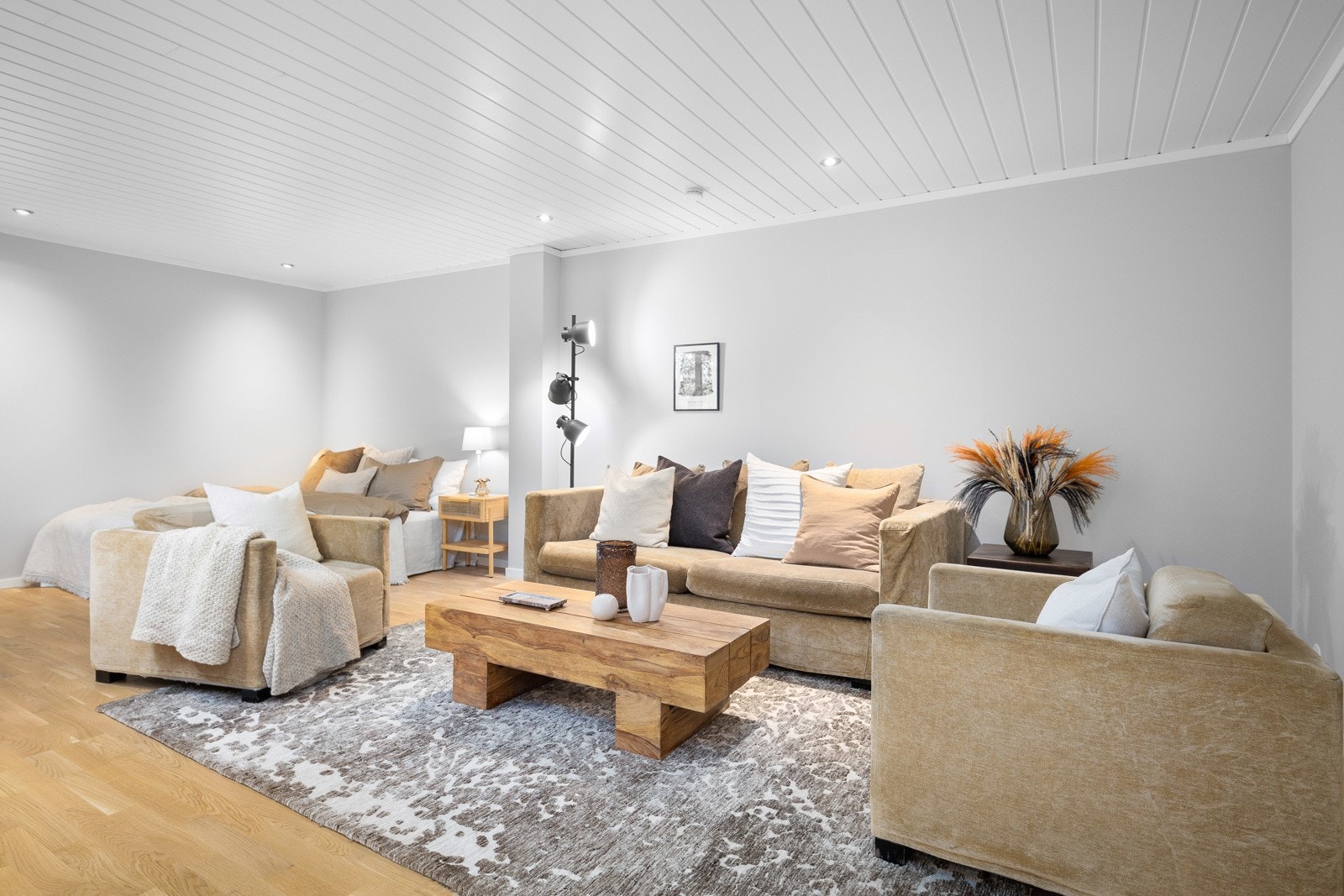 Tv-stuen i underetasjen er romslig og byr på ekstra spillrom for familien. Tv-stuen kan innredes med koselig sofagruppe, kinosal, daybed eller lignende. Galleribilde