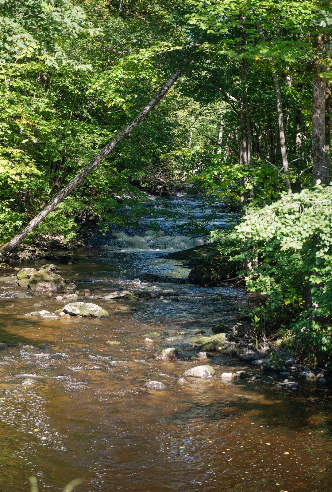 Flotte turområder i nærmiljøet! Kyststien og nærhet til sjøen. Galleribilde