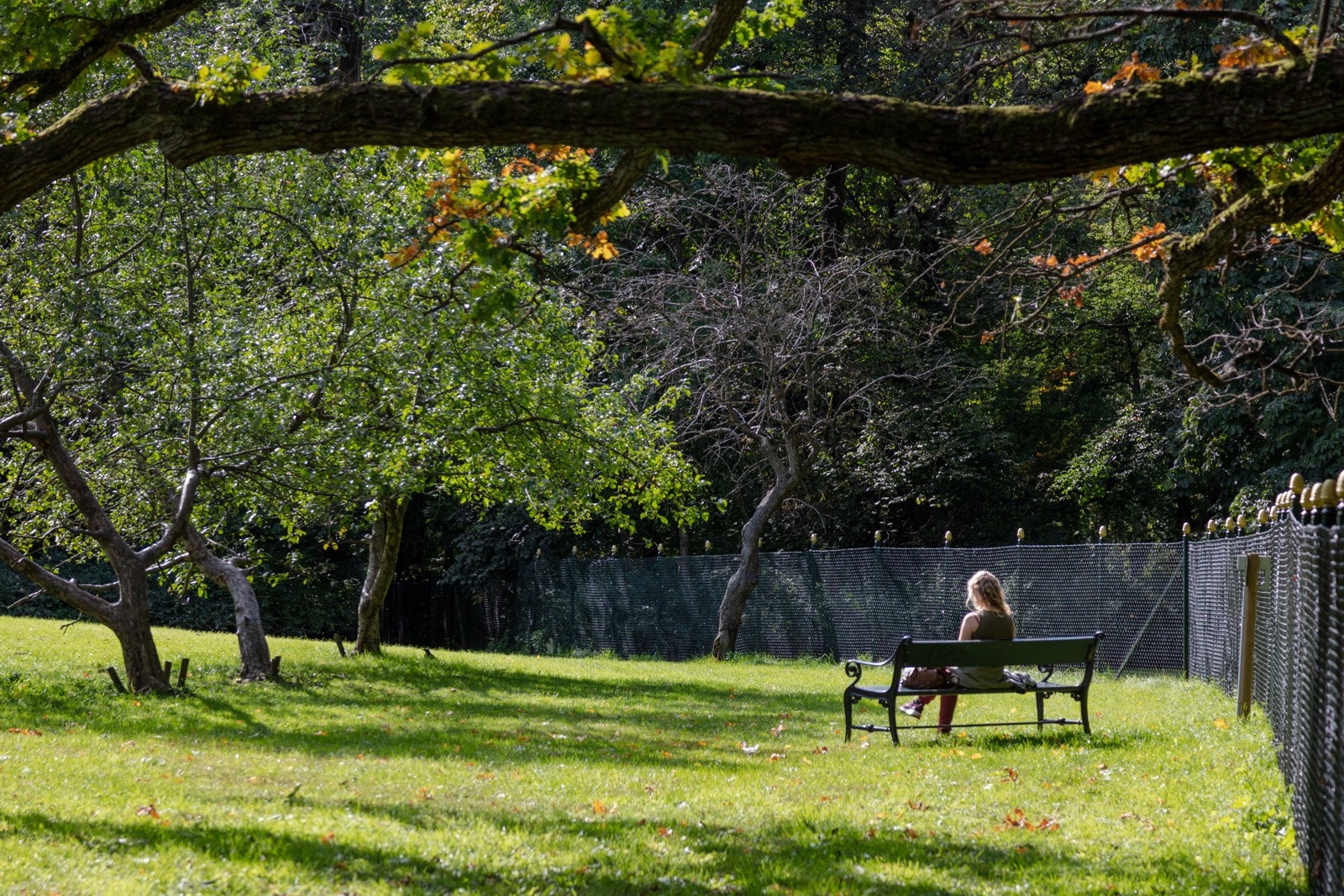 Skøyenparken i er umiddelbar nærhet og er en populær park for både store og små Galleribilde