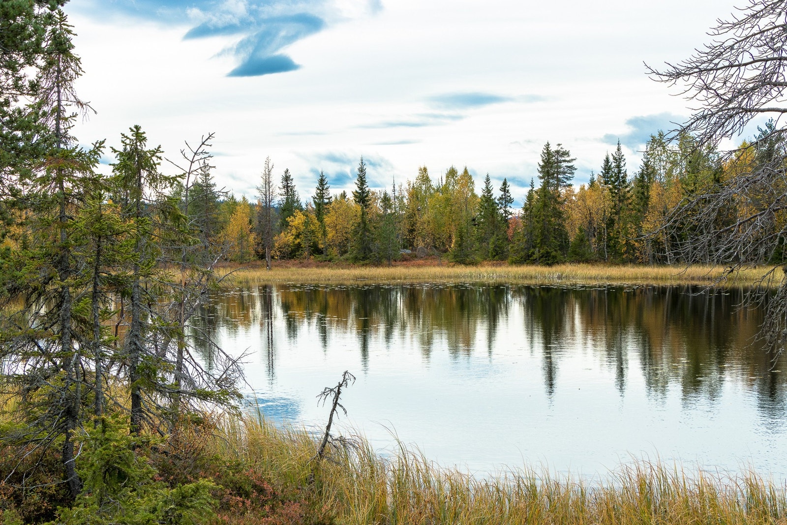 Fra et av vannene i hytteområdet Galleribilde