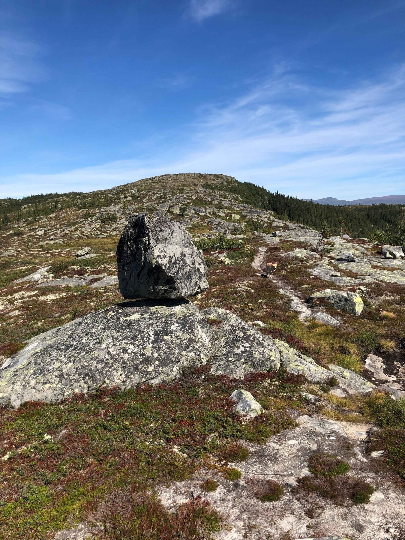 Fra fjellene i nærområdet Galleribilde