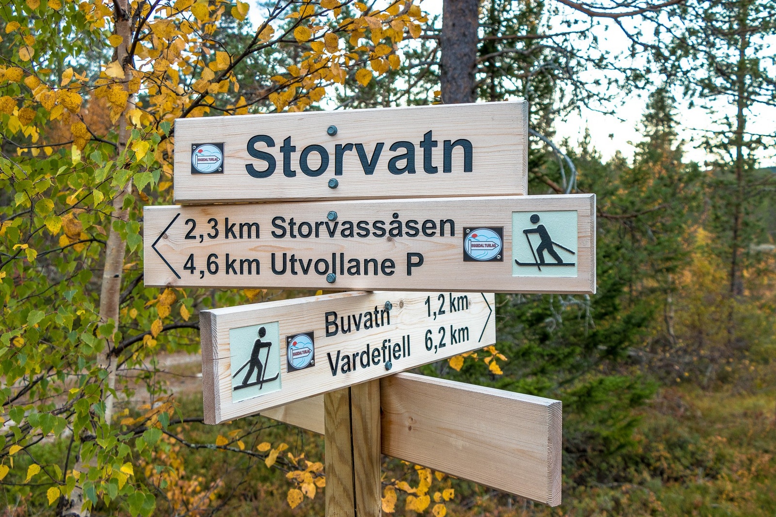 Det er flere turstier og godt med skilting i området Galleribilde