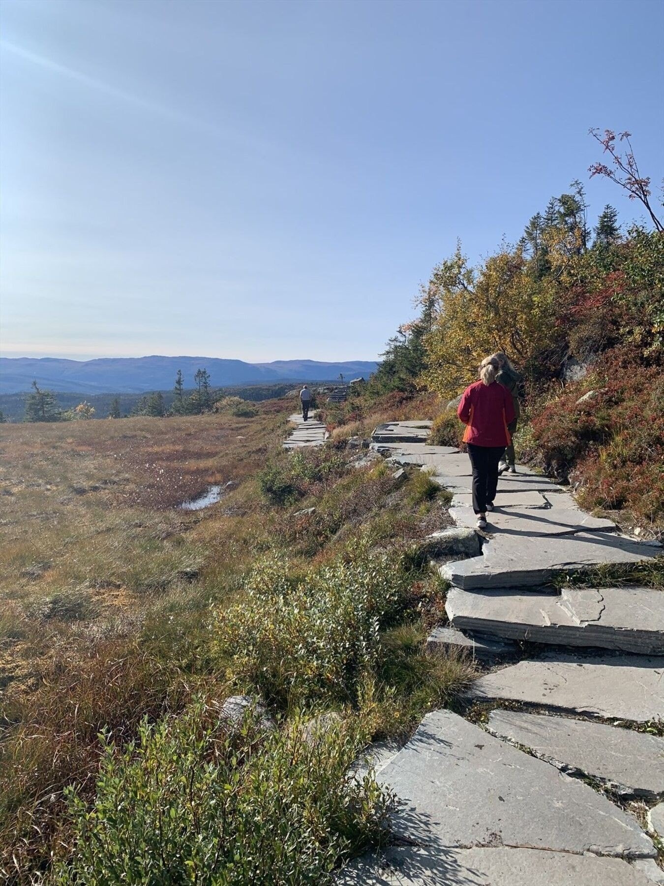 Fra Madonnastien Galleribilde