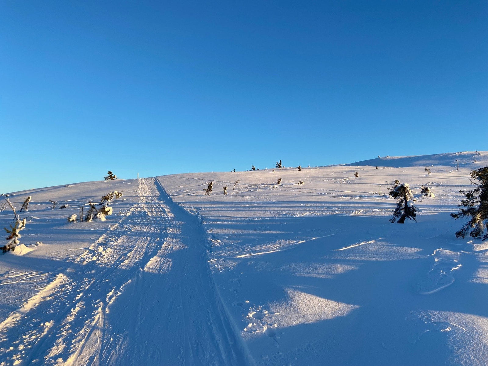 På toppen av Søtelifjell Galleribilde