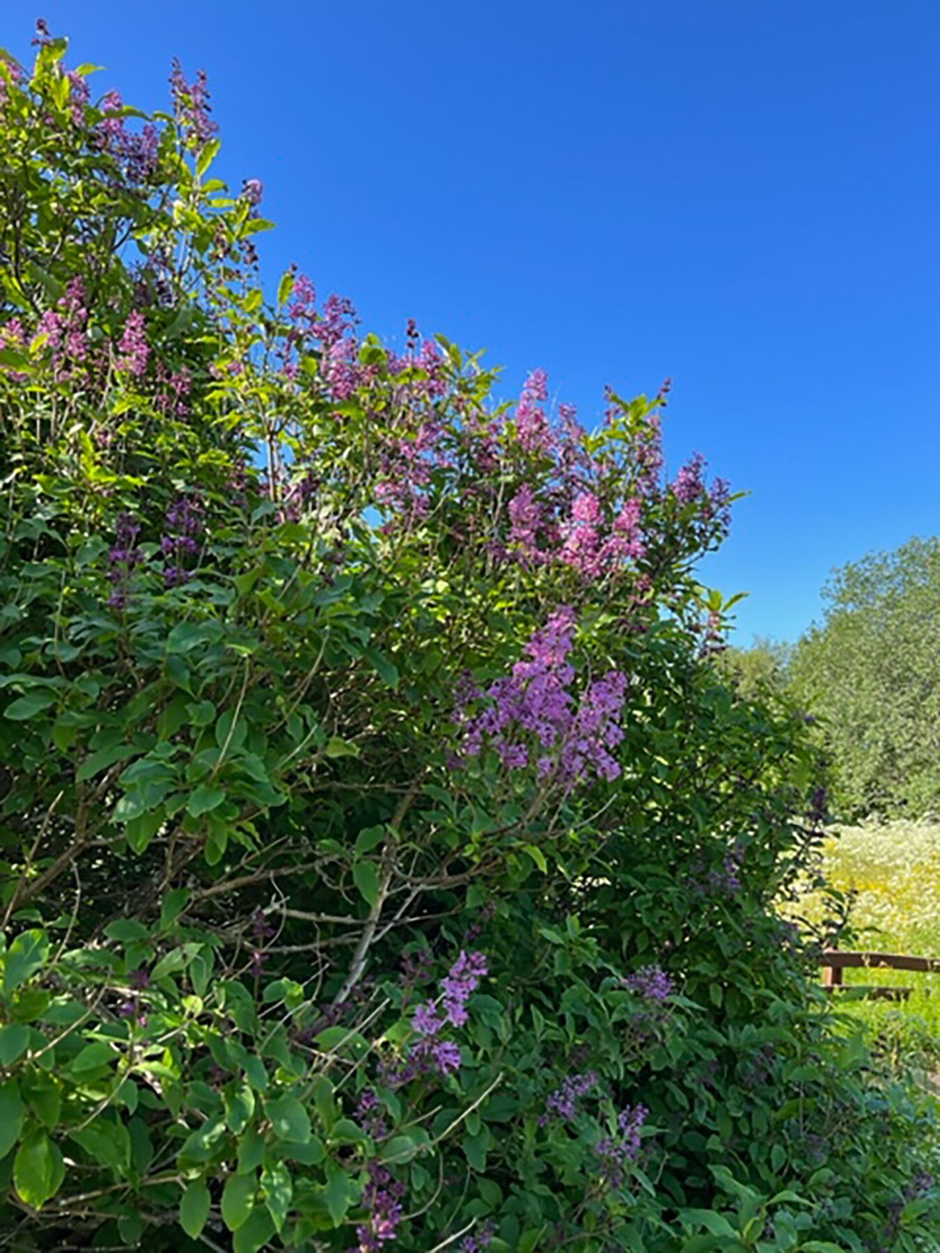Stemningsbilde uteområdet. Galleribilde