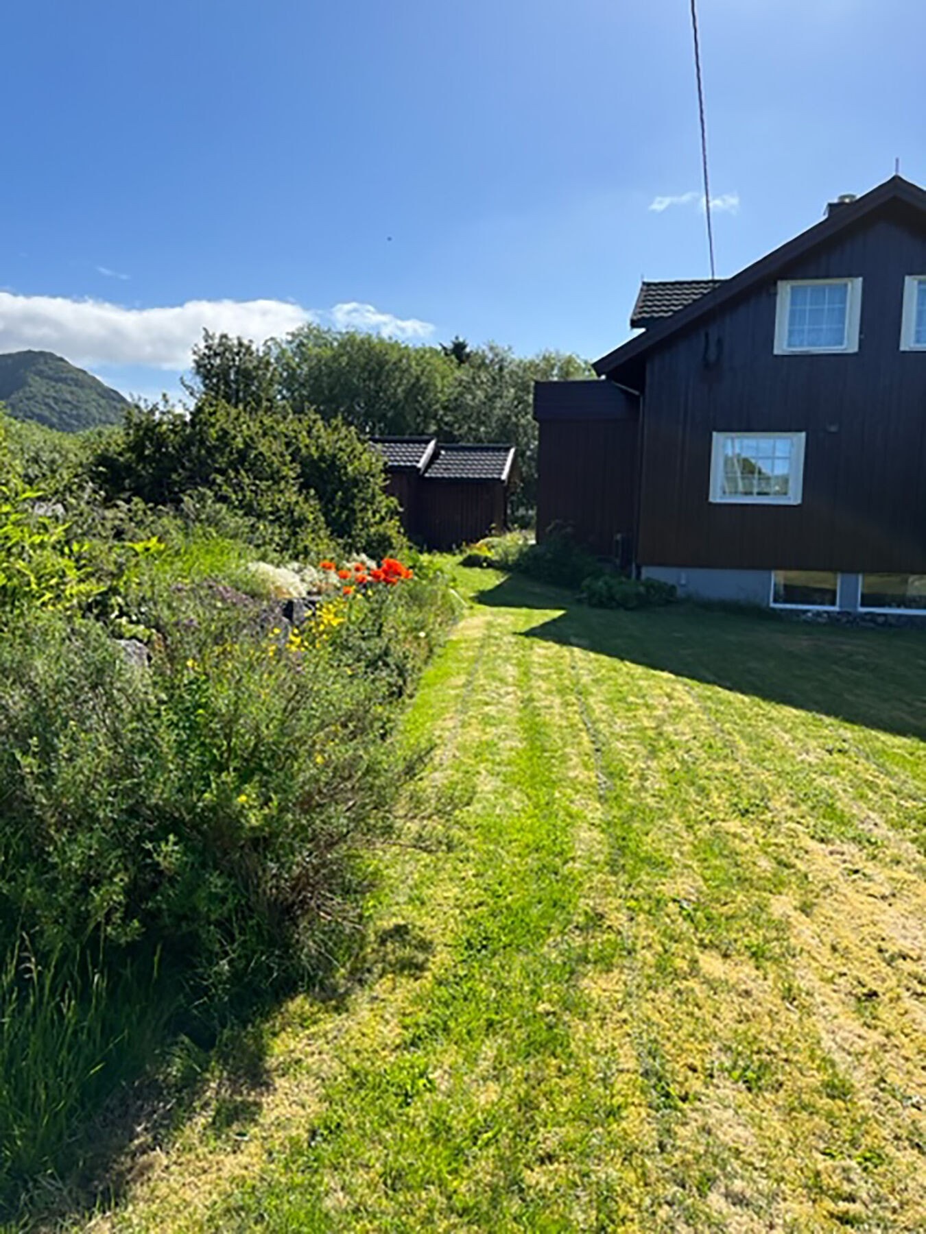 Stemningsbilde uteområdet. Galleribilde