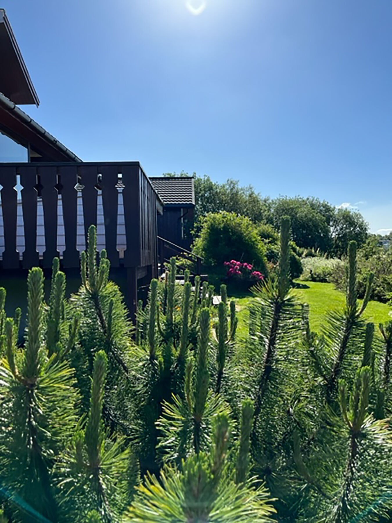 Stemningsbilde uteområdet. Galleribilde