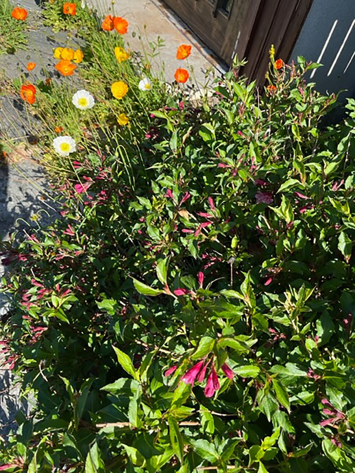 Stemningsbilde uteområdet. Galleribilde