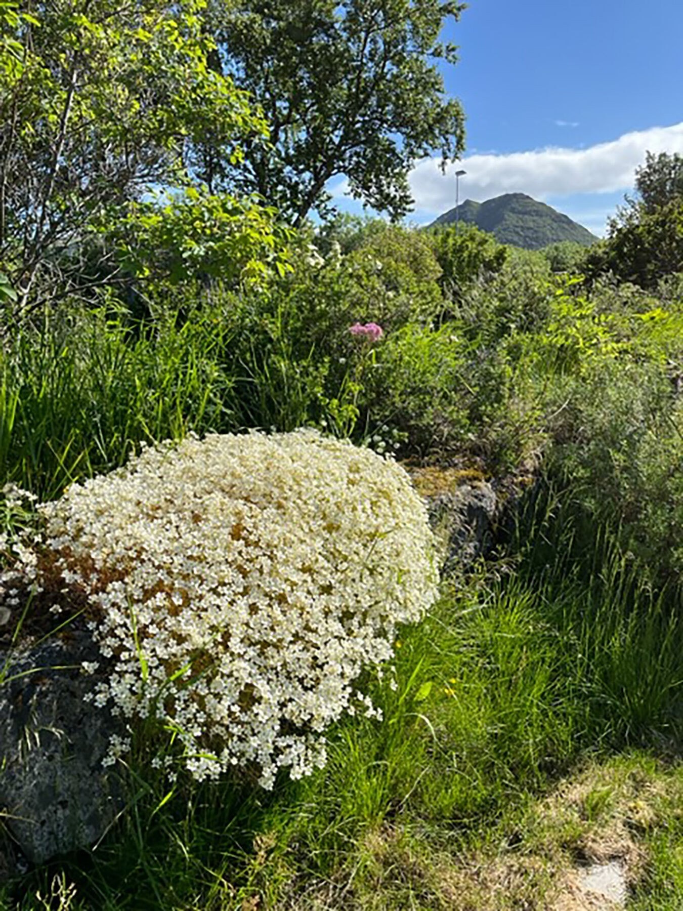 Stemningsbilde uteområdet. Galleribilde