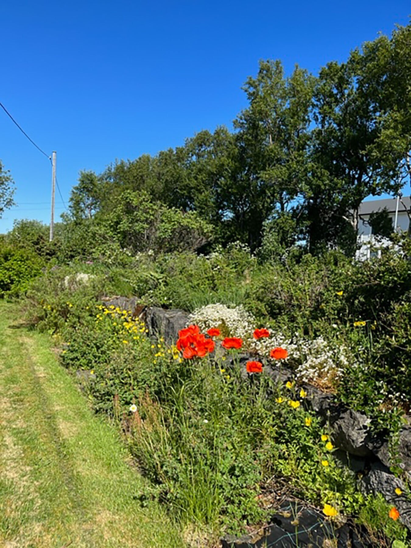 Stemningsbilde uteområdet. Galleribilde