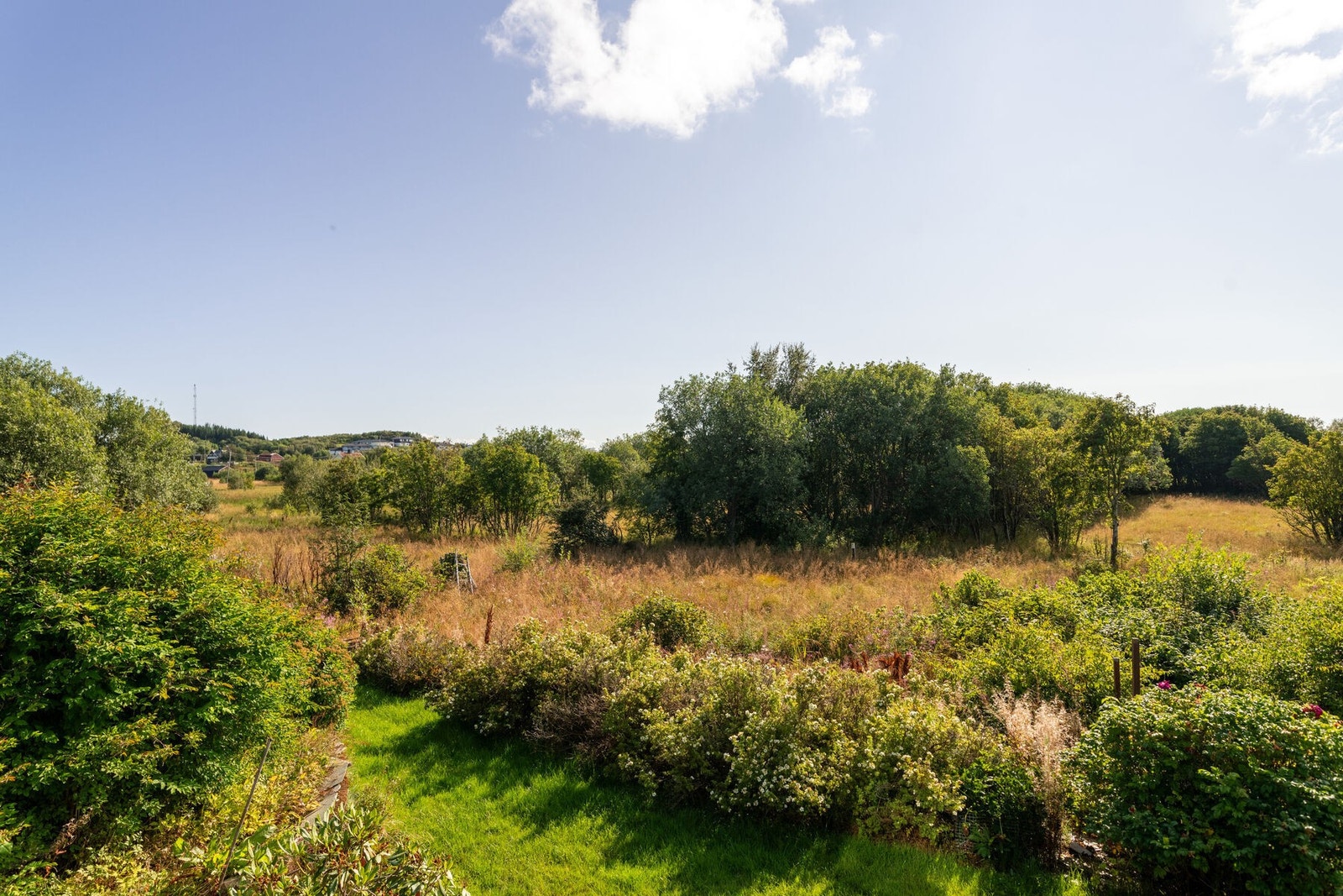 Naturskjønn utsikt fra boligen. Galleribilde