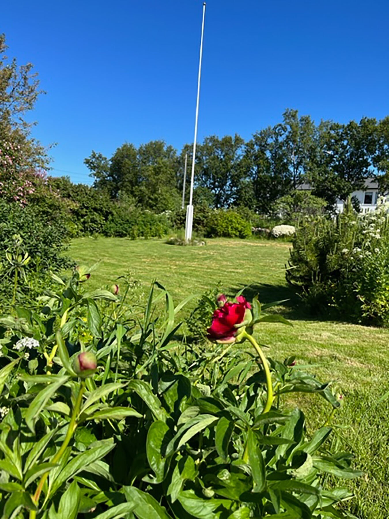 Stemningsbilde uteområdet. Galleribilde