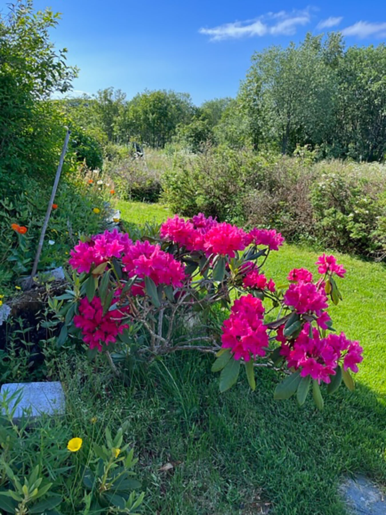 Stemningsbilde uteområdet. Galleribilde