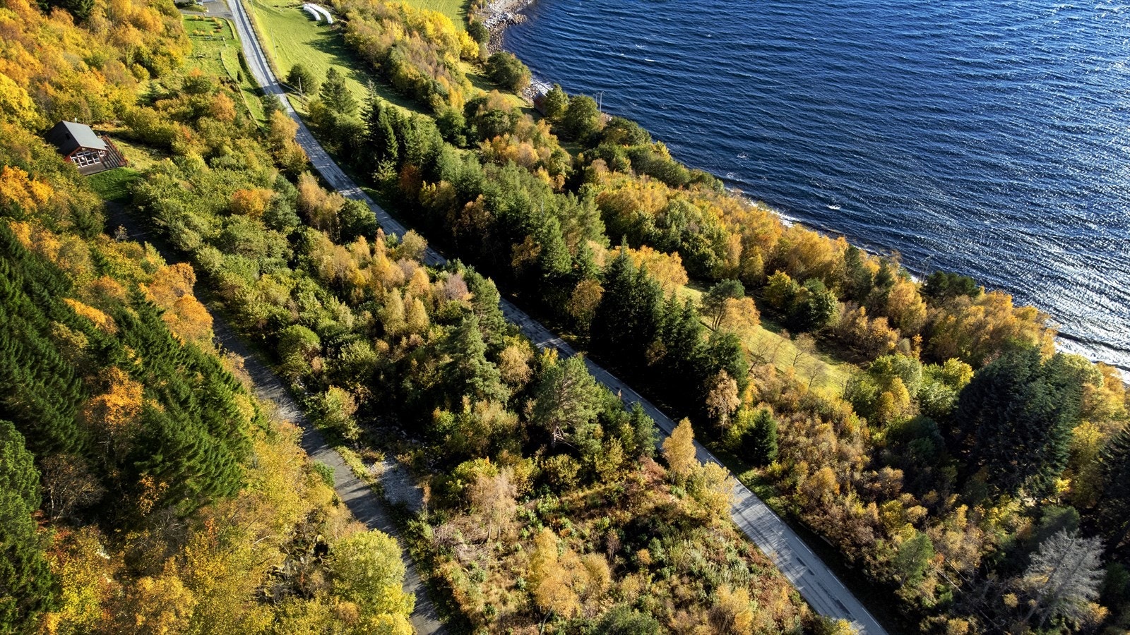 Oversiktsbilde Galleribilde