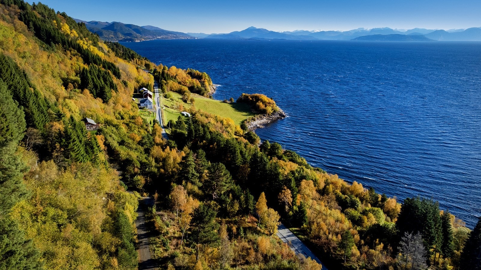 Oversiktsbilde Galleribilde