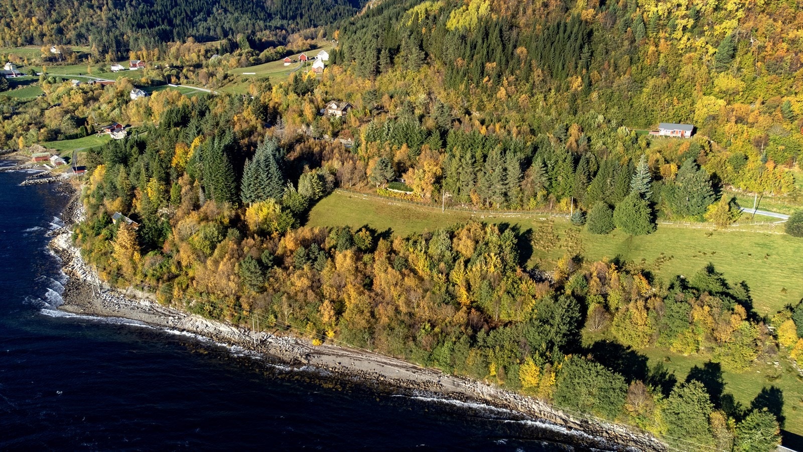 Oversiktsbilde Galleribilde