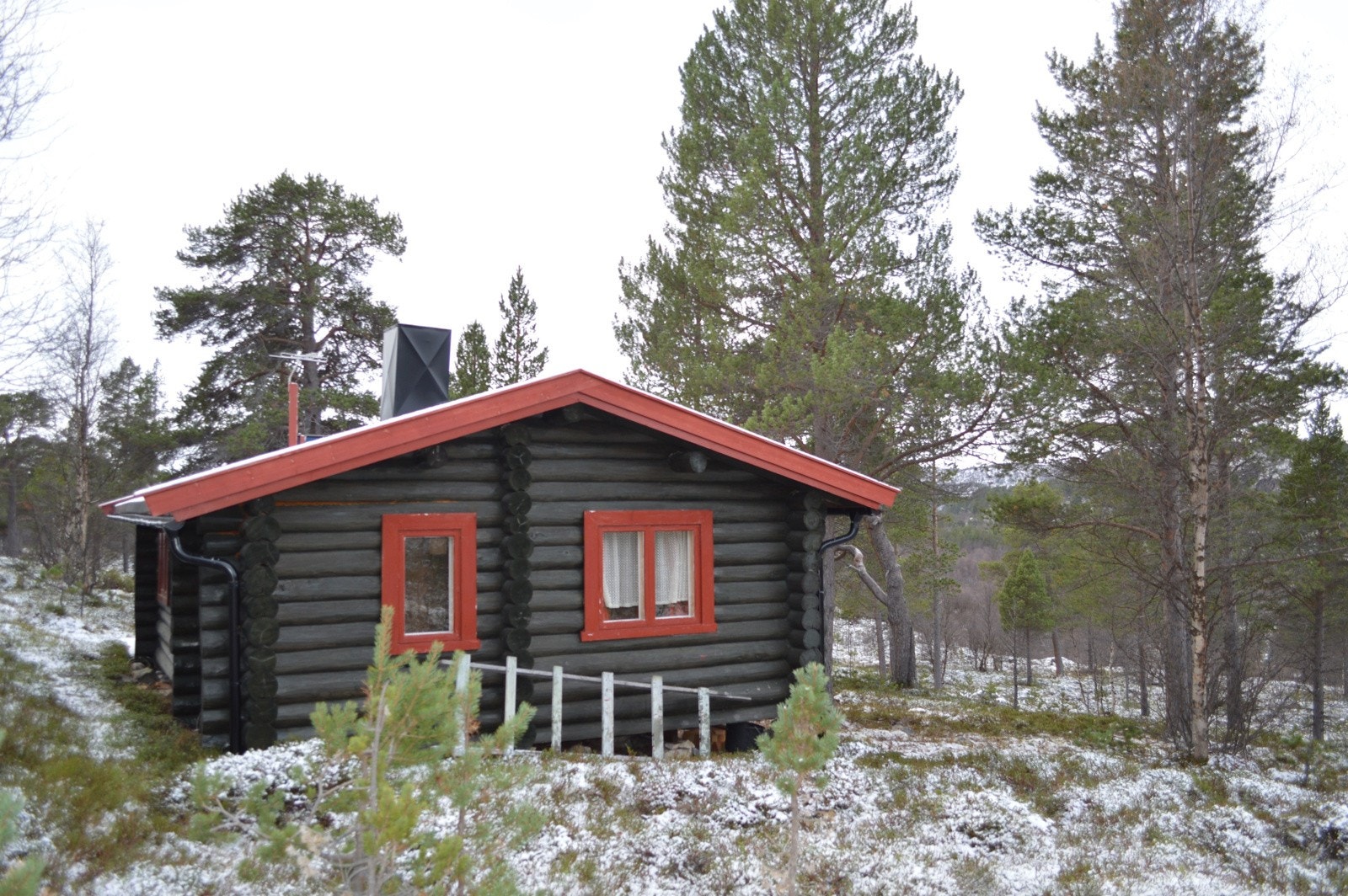 Baksiden av hytten Galleribilde