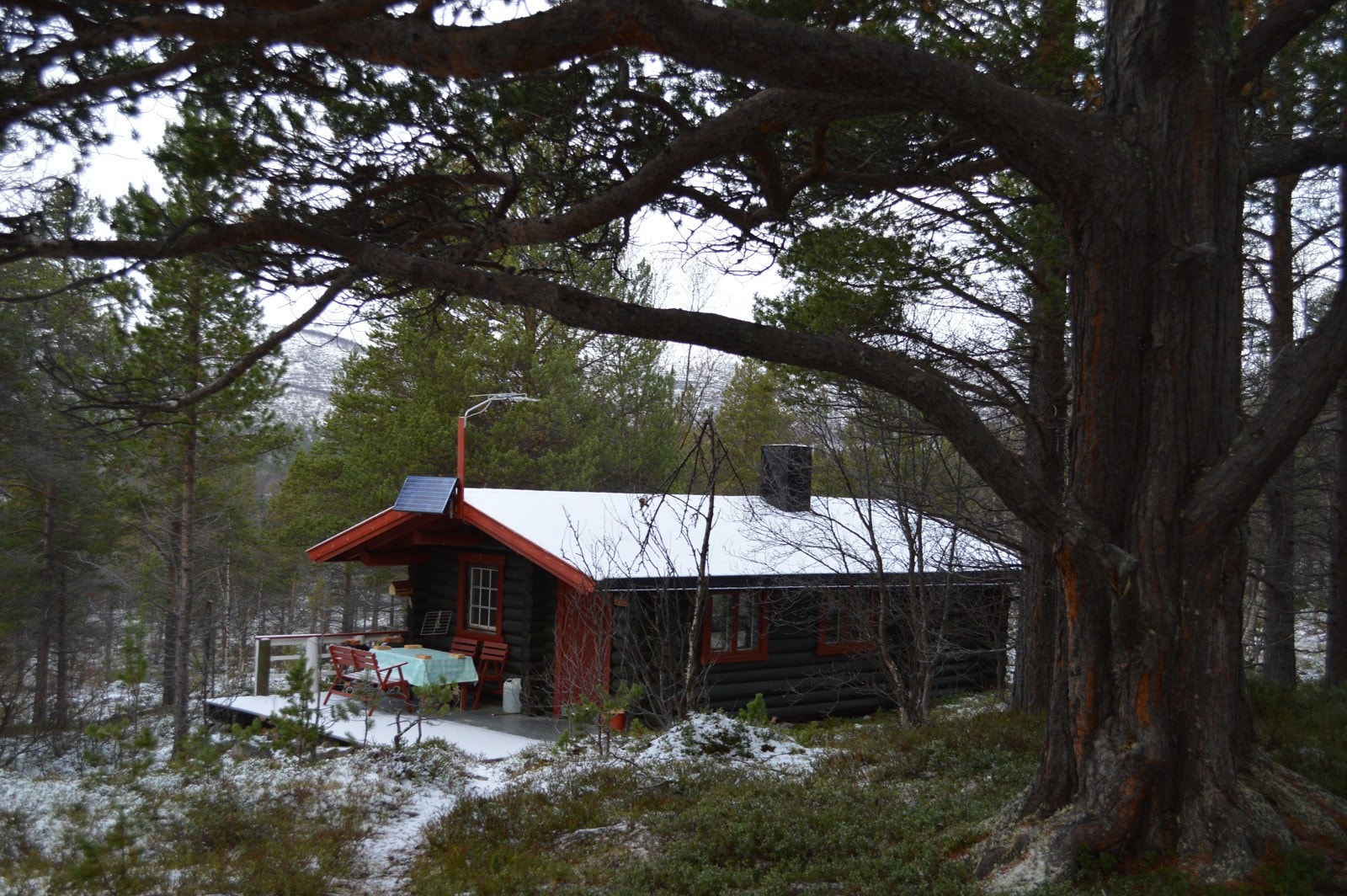 Hytten ligger lunt til Galleribilde