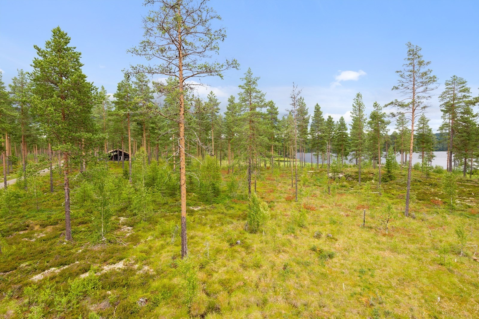 Tomtebilde Galleribilde