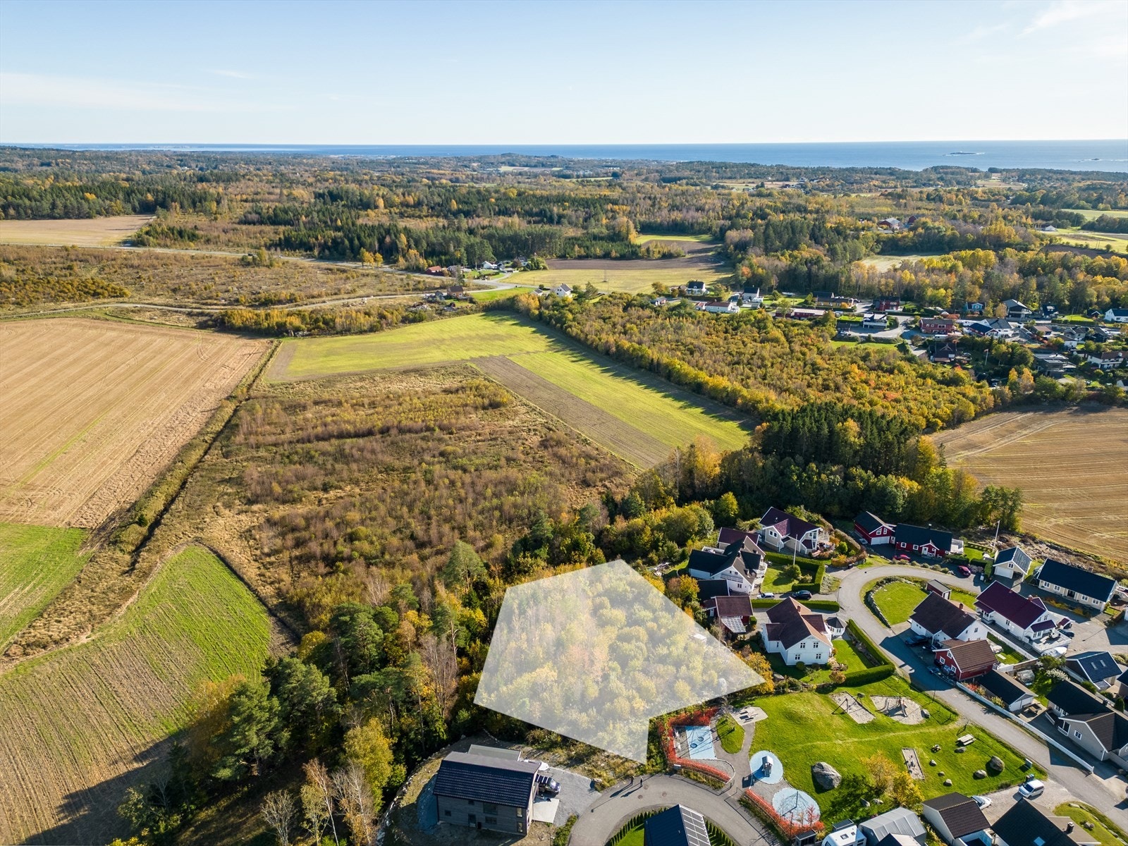 Torpelia utviklingstomt Galleribilde