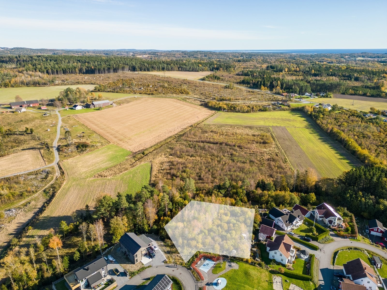 Torpelia utviklingstomt Galleribilde