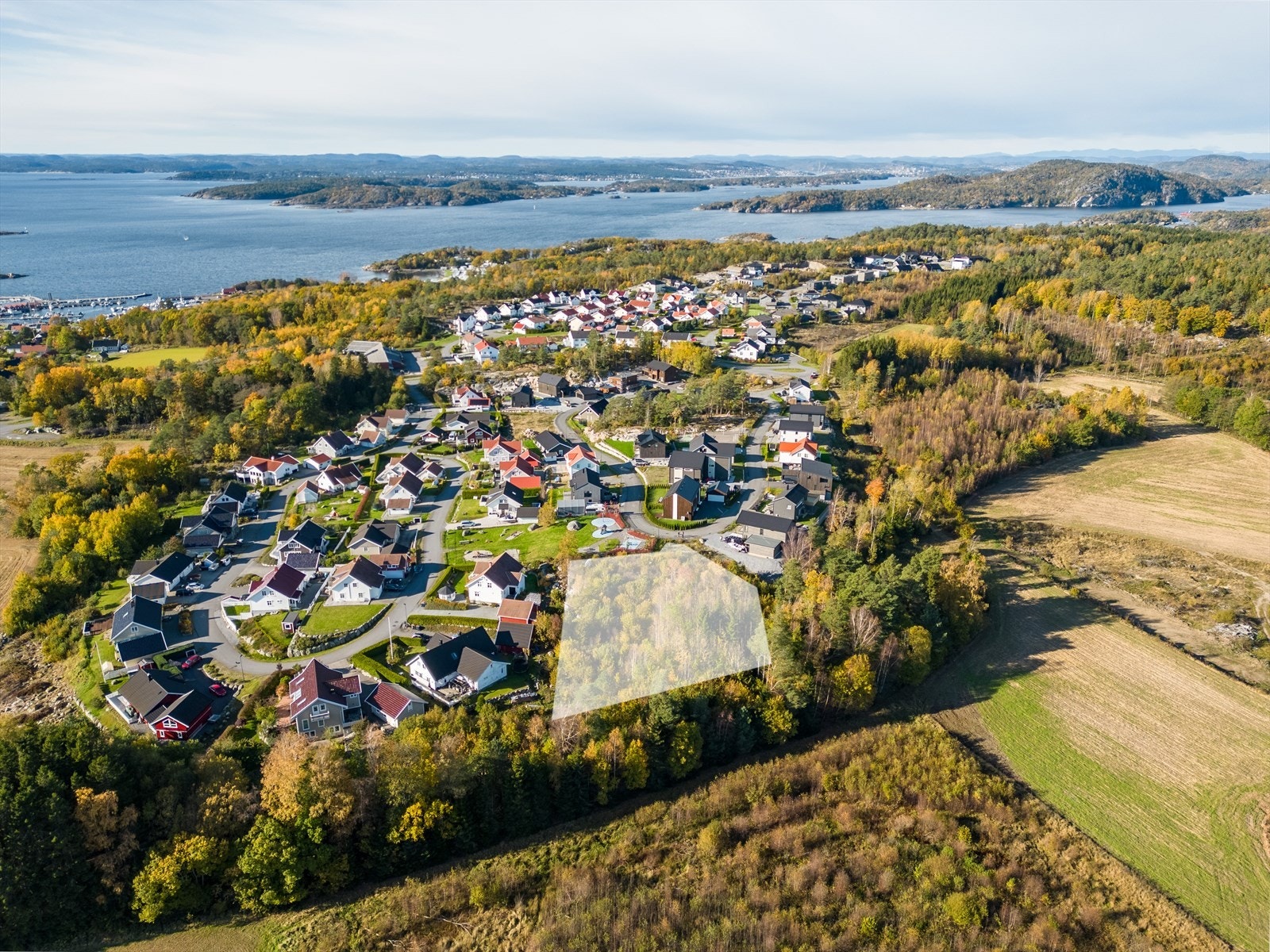 Torpefeltet Galleribilde