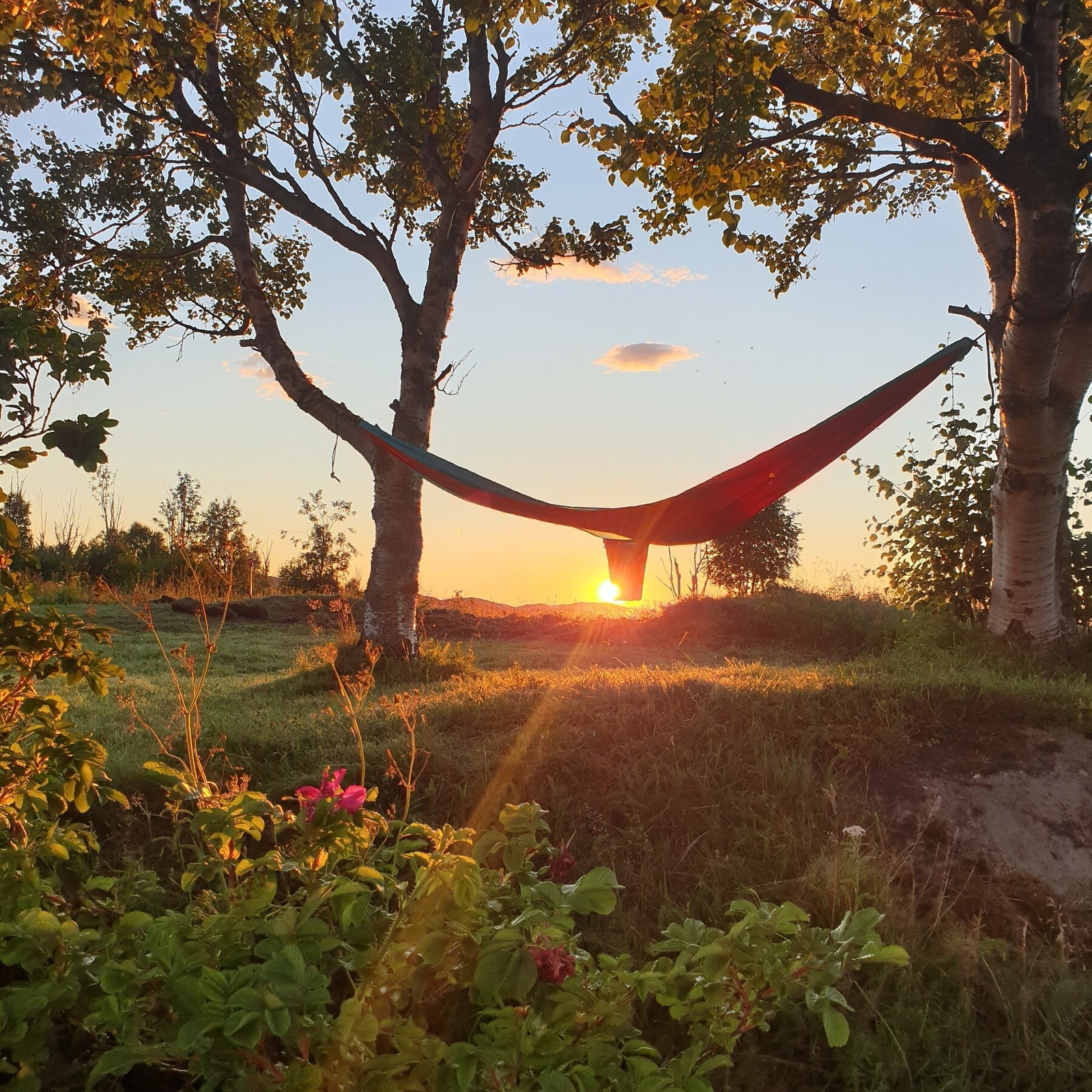 Stemningsbilde fra tomten på sommer. Galleribilde