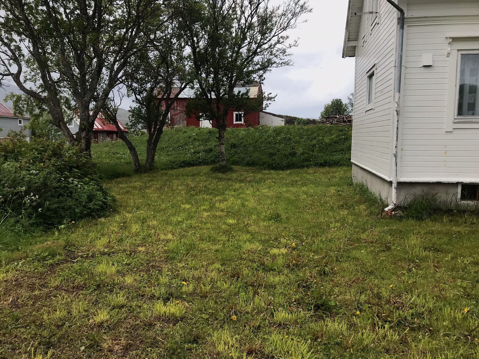 Velkommen til visningen! Galleribilde