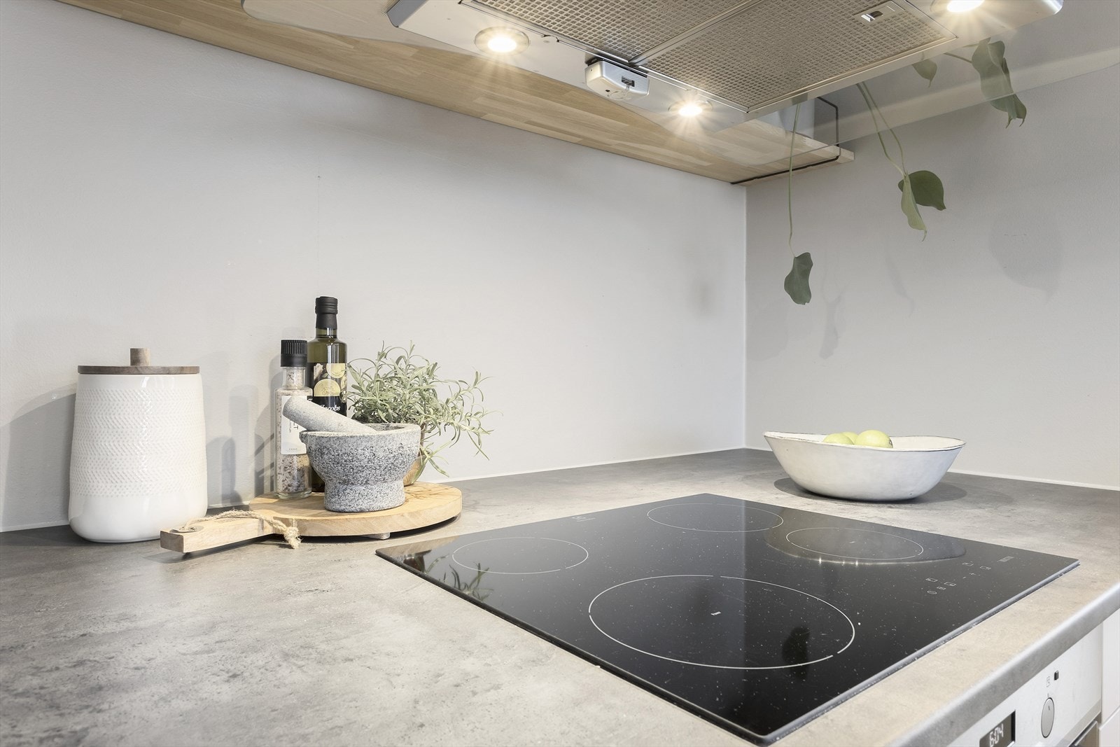 Detaljbilde Galleribilde