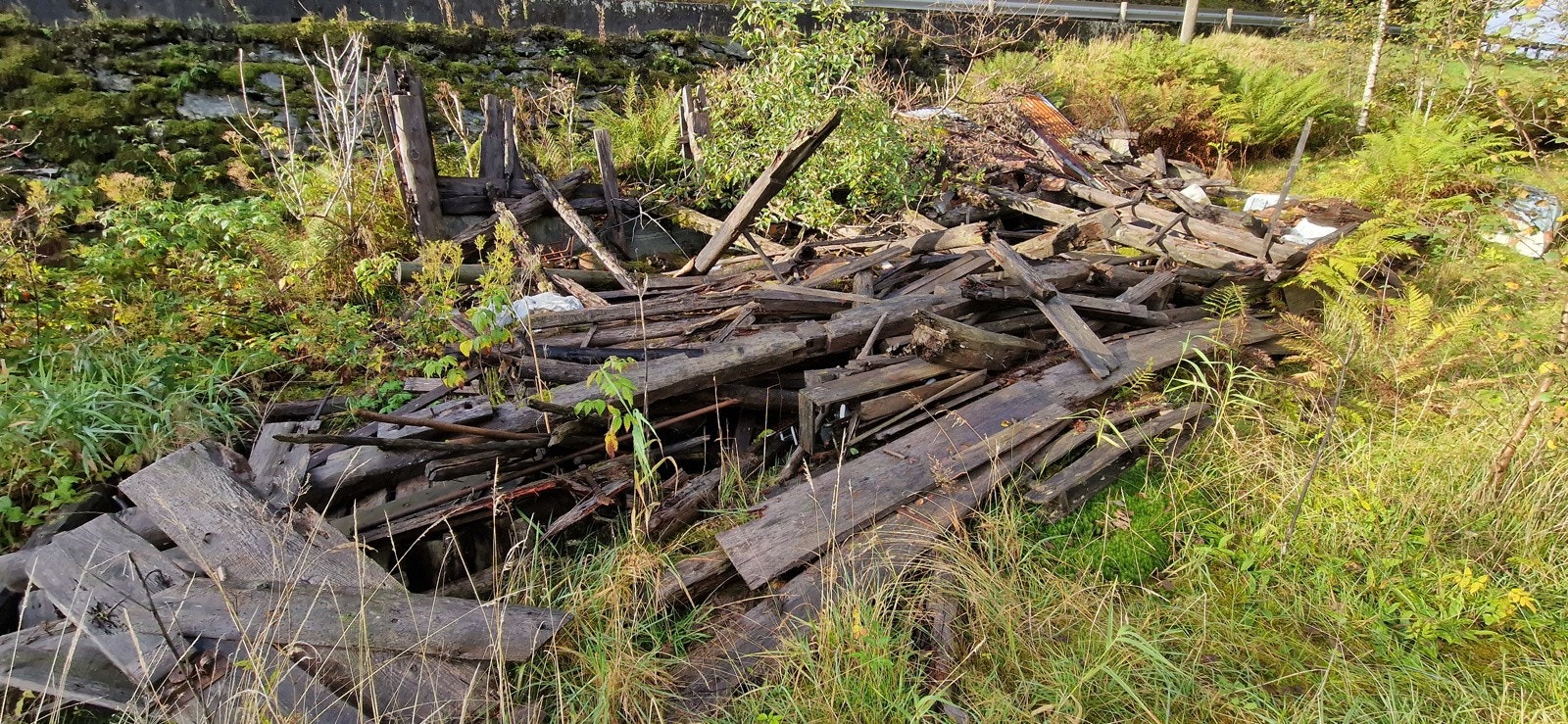 20230922_094505 Galleribilde