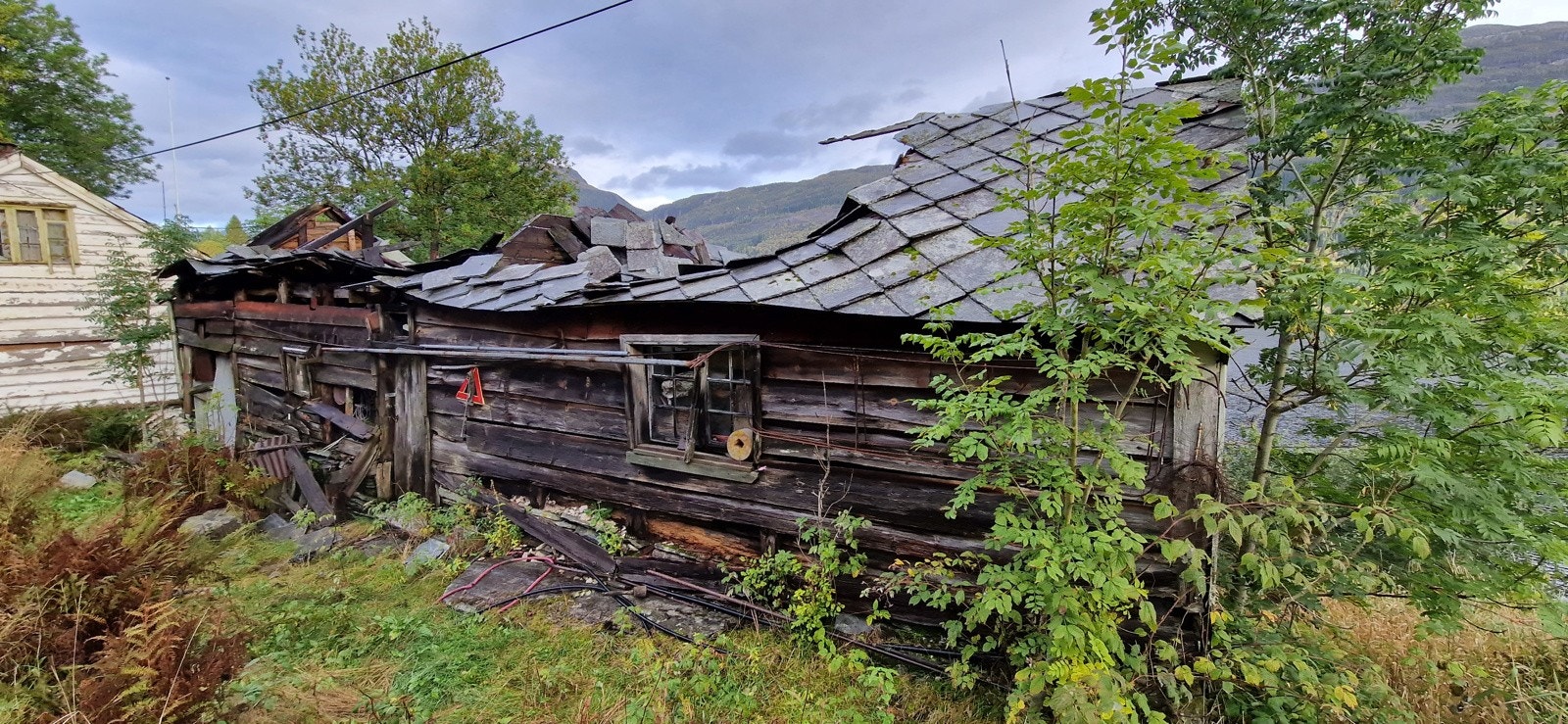 20230922_090717 Galleribilde