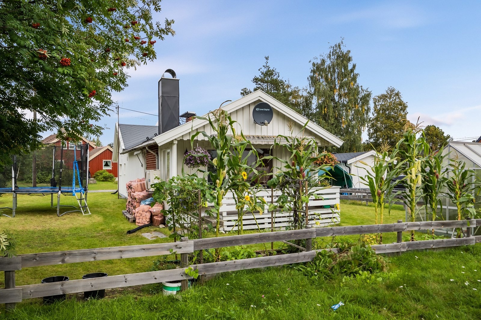 Koselig hage, hvor det også er plass til lekeapparater som trampoline. Galleribilde