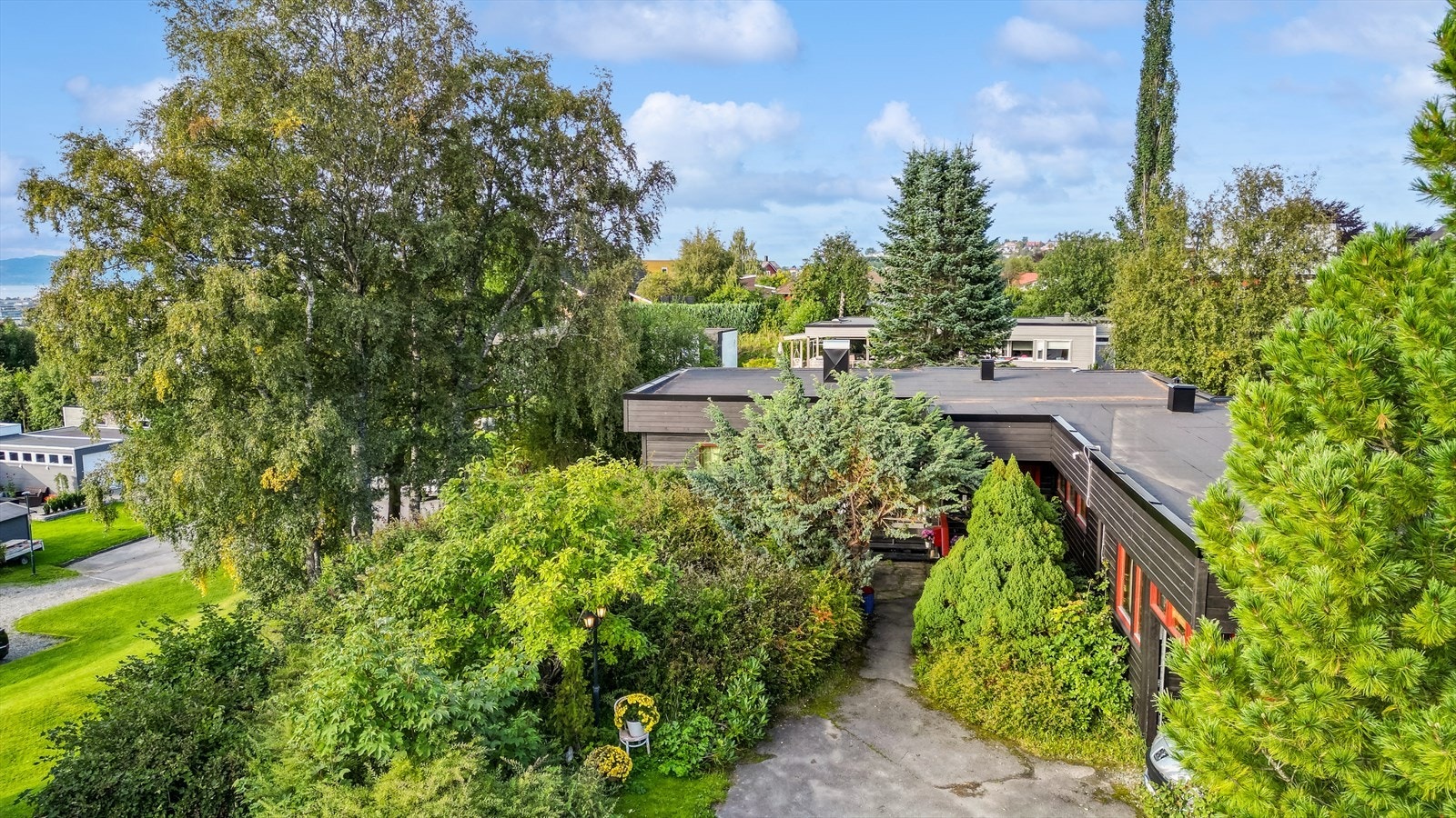 Frodig hage med mange prydbusker. Galleribilde
