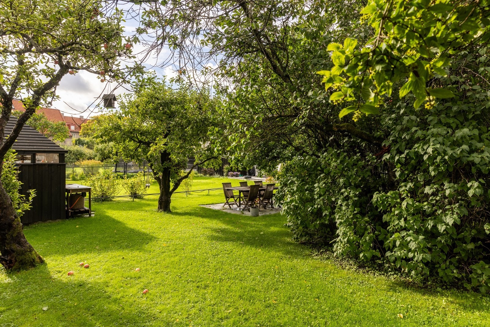 Hagen er et herlig sted å tilbringe tid både på sommerhalvåret og vinterhalvåret. Galleribilde