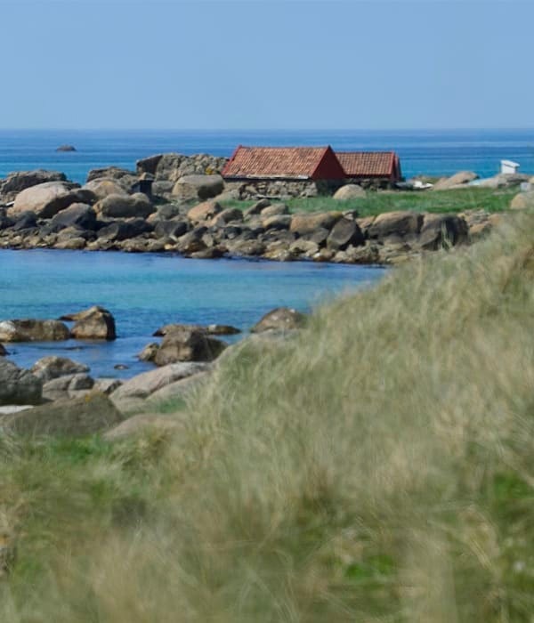 Mot Holmestø. Galleribilde