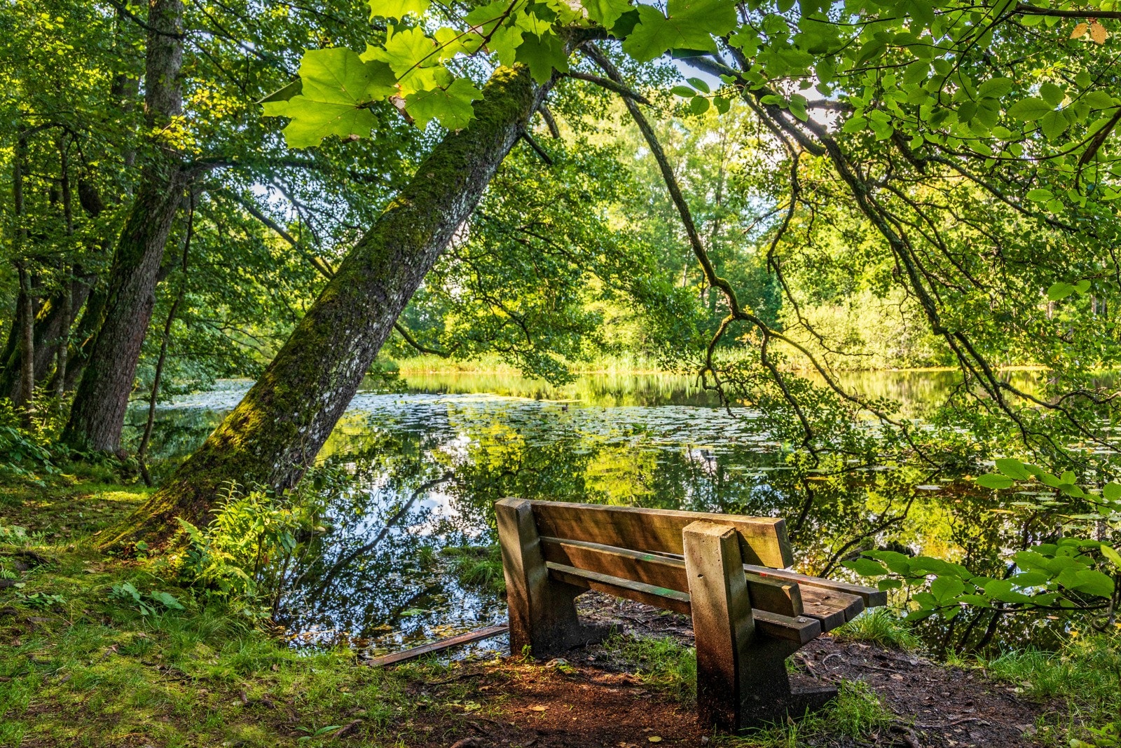Idylliske Tjernsrudvannet. Galleribilde