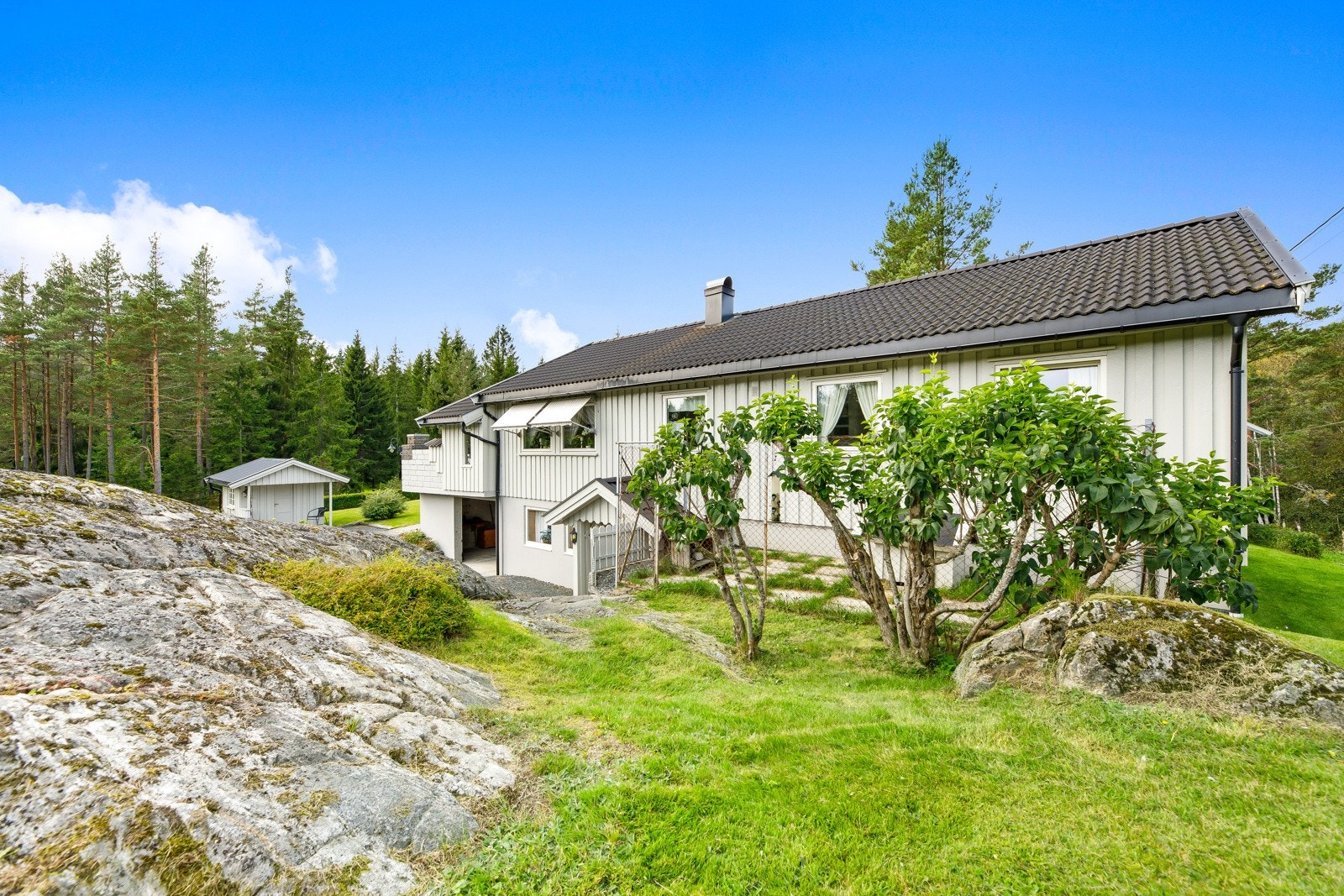 Hundegård Galleribilde