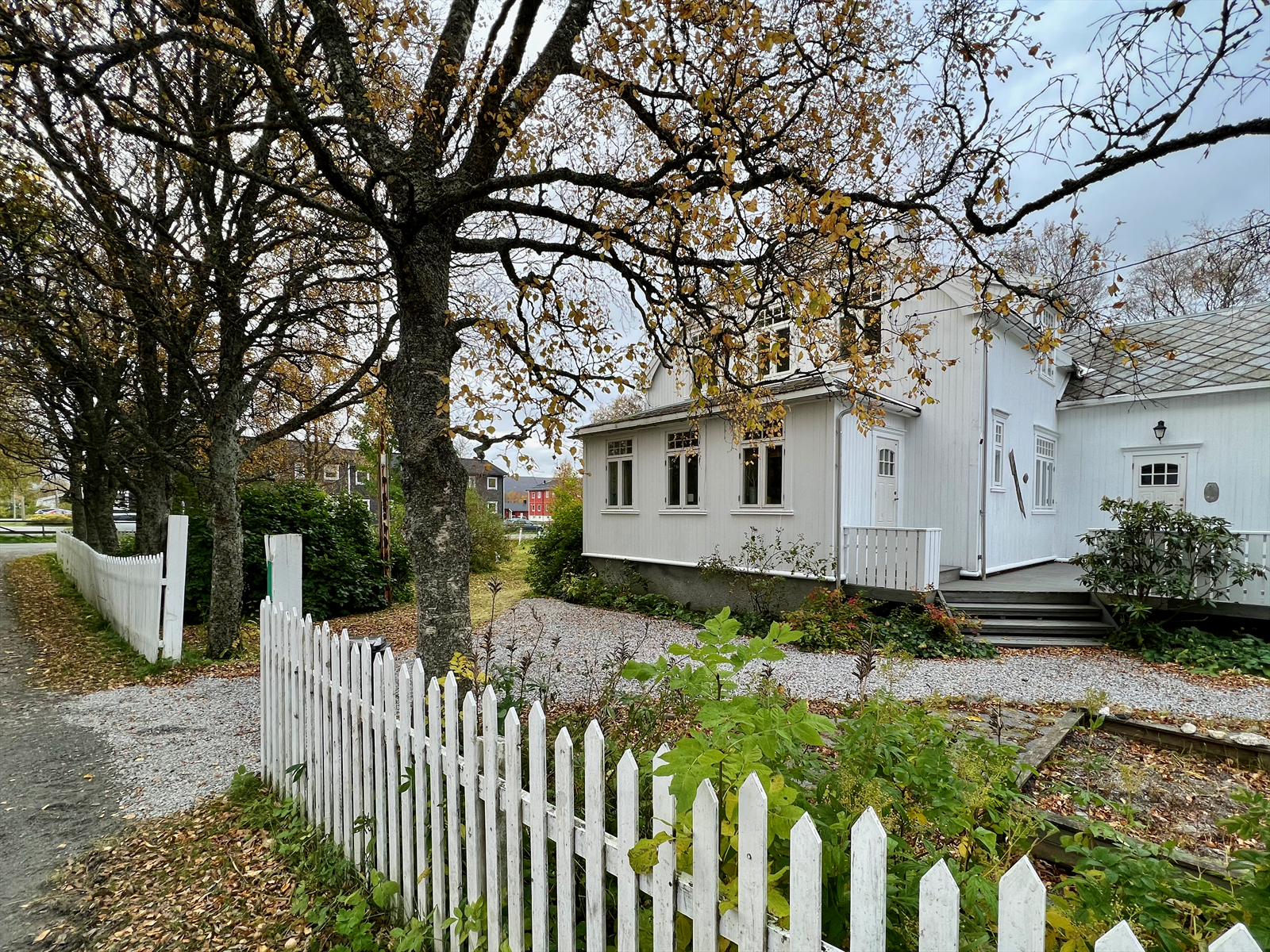 Velkommen til en anledning av de sjeldne! Galleribilde