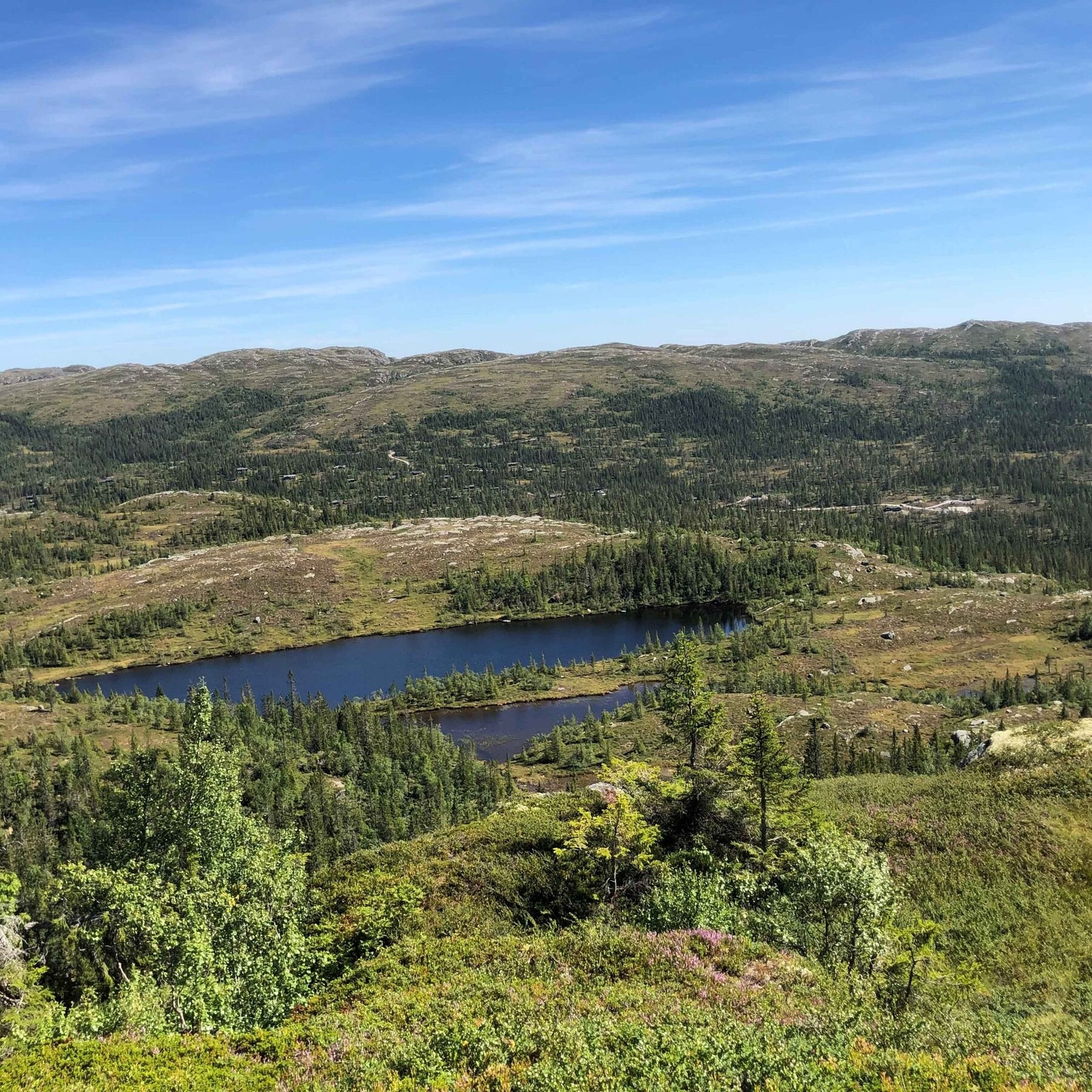 Flott turterreng i nydelig landskap Galleribilde