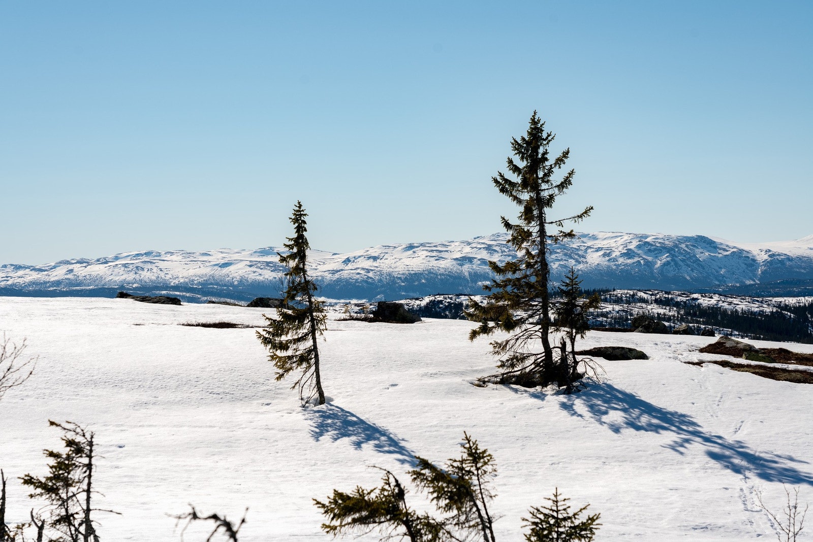 God utsikt til fjellene rundt fra Bjønnskortenatten Galleribilde