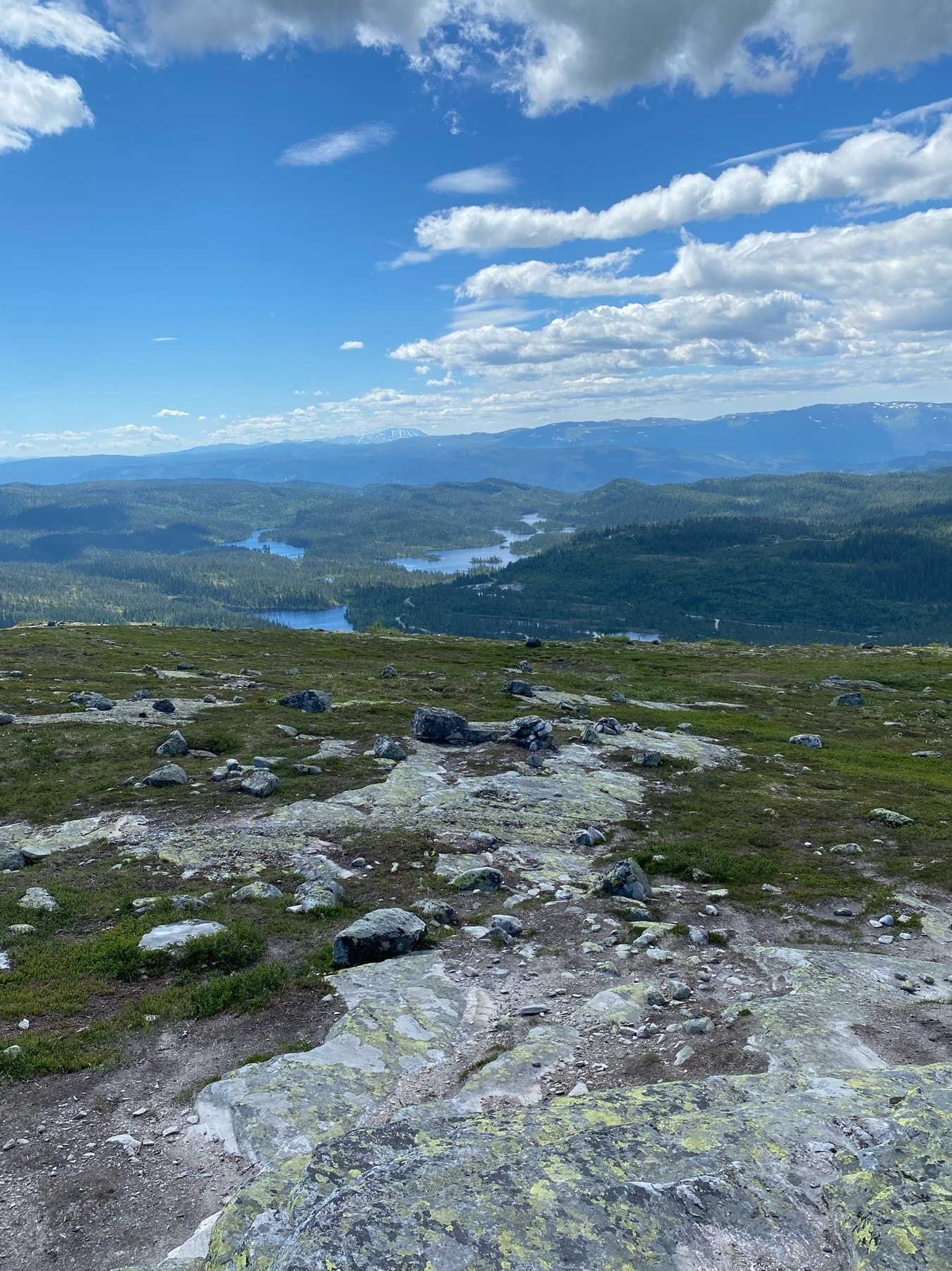 Utsikt fra Søtelifjell mot tomtene Galleribilde