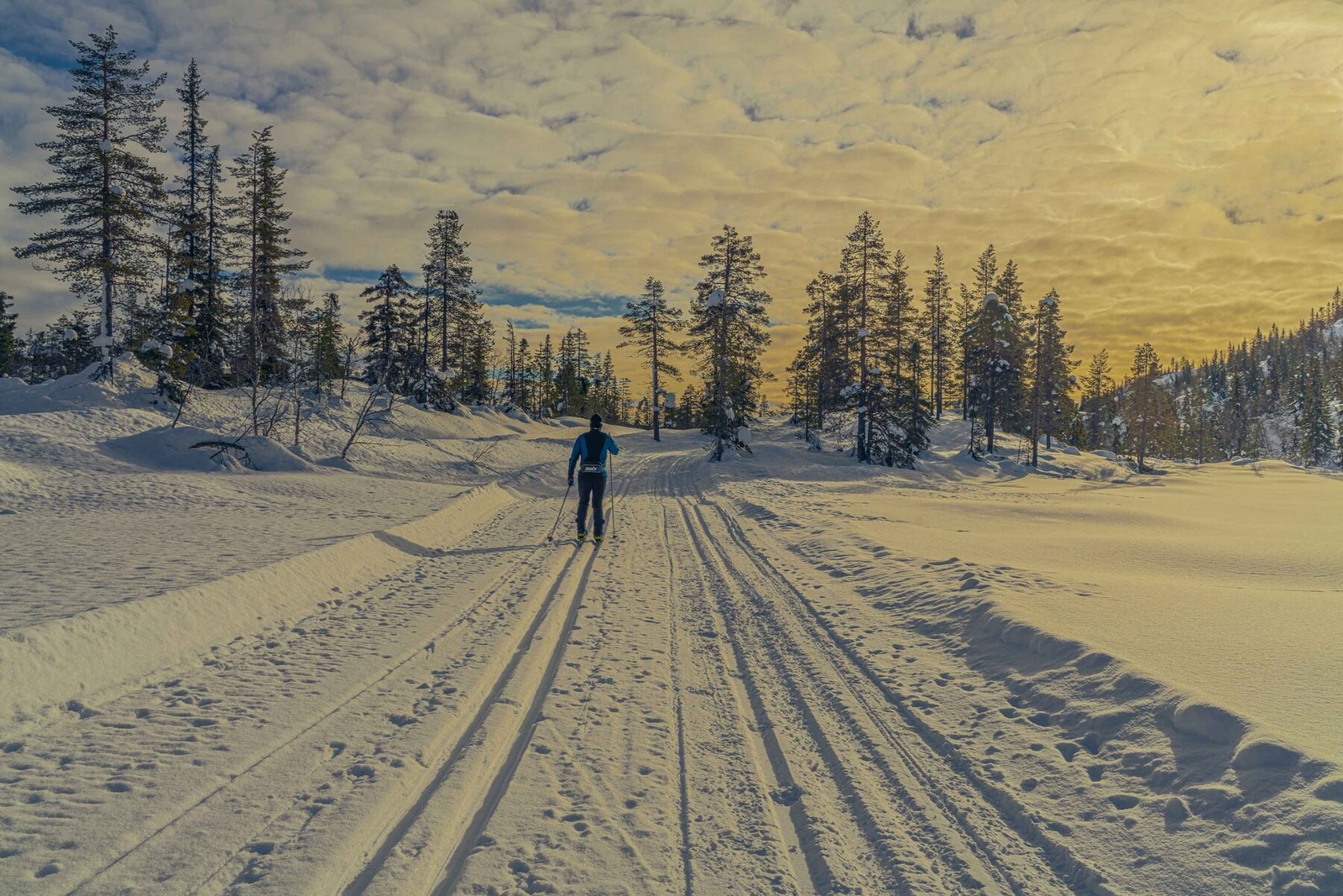 Tomteområdet gir også direkte tilgang til skiløypene som Søtelifjell er kjent for Galleribilde