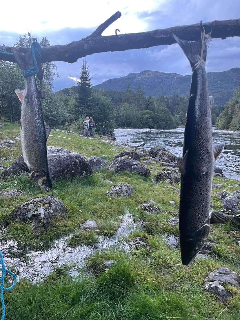 Den populære lakseelven, Suldalslågen, ligger ca 15 minutters kjøretur unna hyttefeltet Galleribilde
