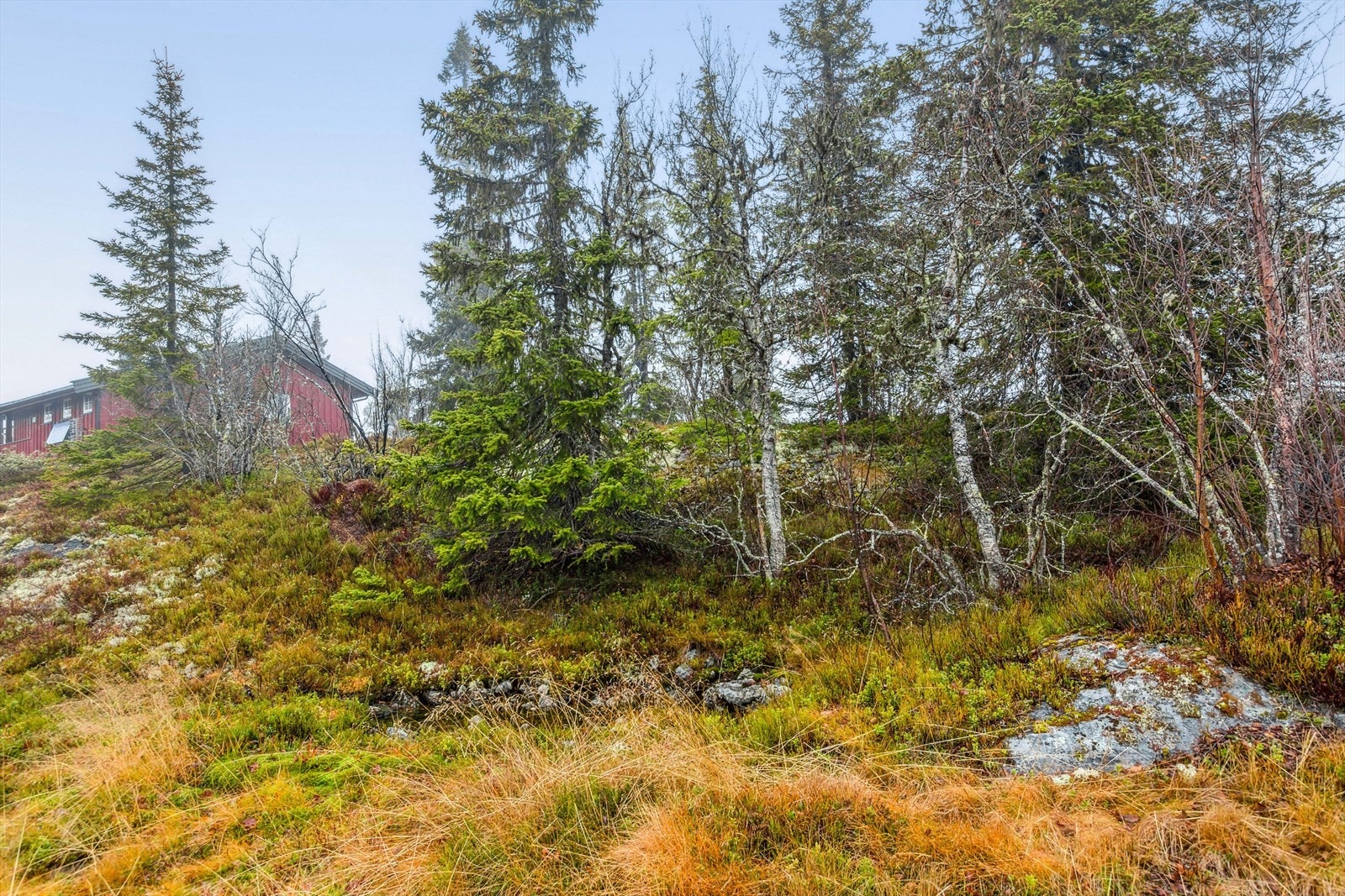 Området byr på flotte aktiviteter sommer som vinter. Galleribilde