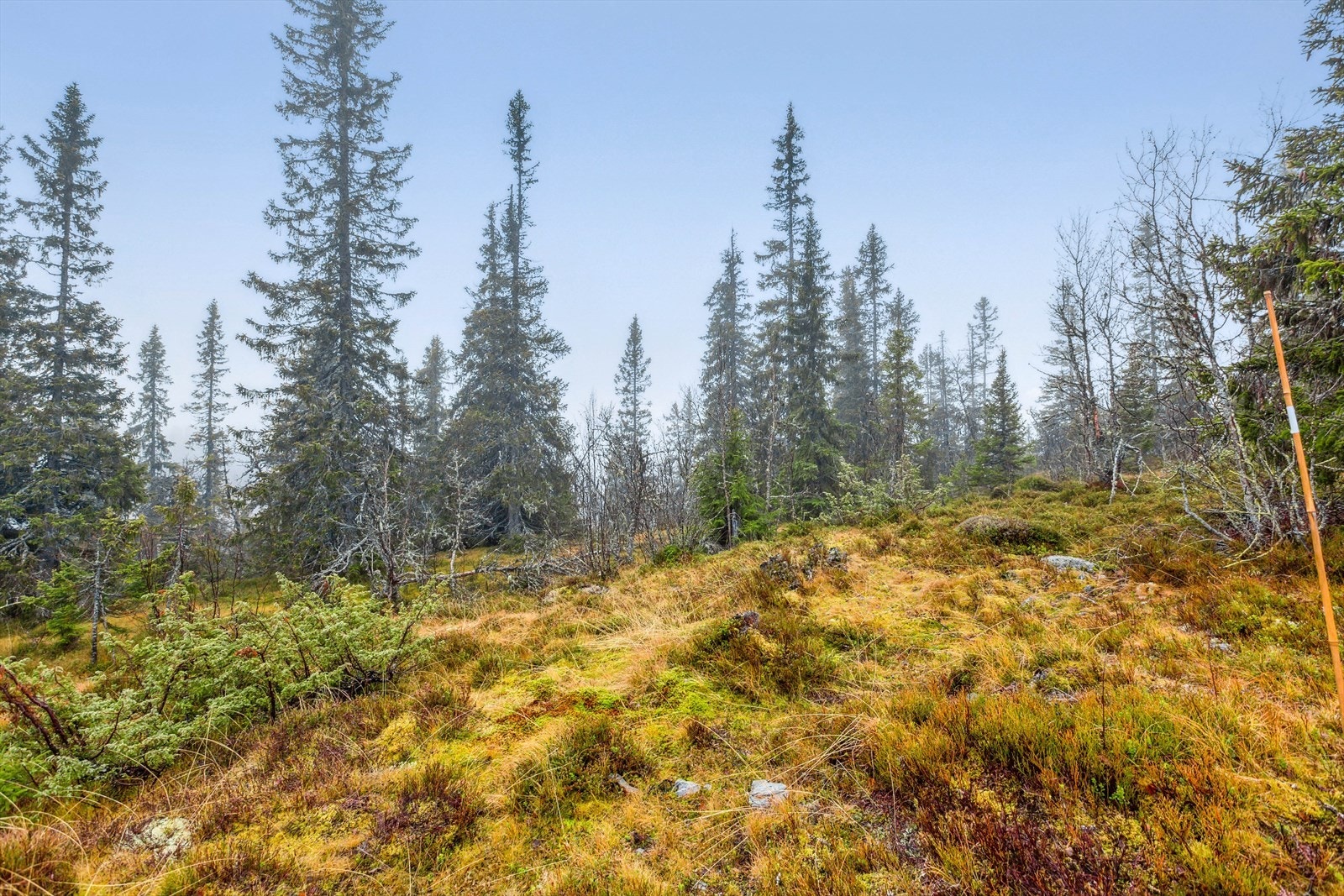 Til fots er det utallige turmuligheter. Vi anbefaler alle en tur på Spåtind som er toppunktet på Synnfjell. Galleribilde