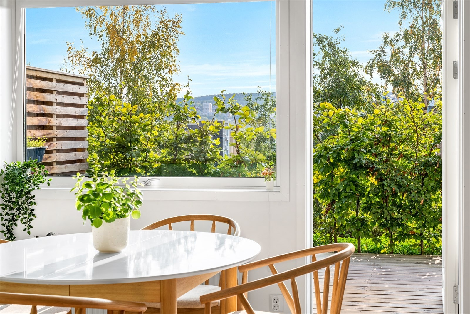 Store, flotte vinduer slipper inn rikelig med dagslys. Galleribilde